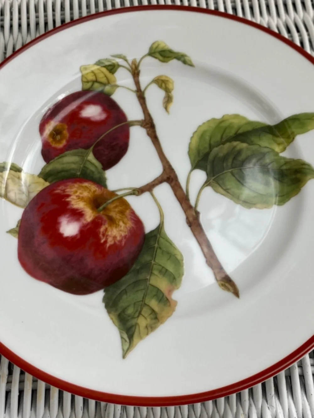 Williams-Sonoma Ceramic Plates. Fruit Designs on Salad, Fruit, Dessert Dishes